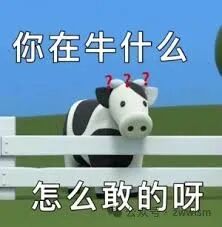 表情包- 堆糖