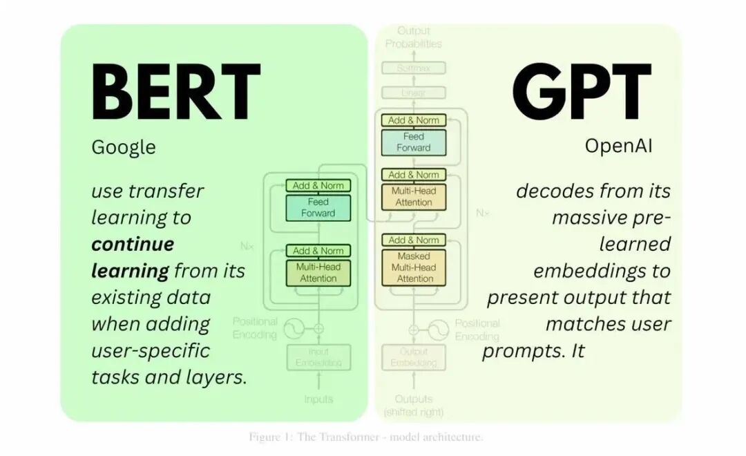 BERT vs GPT