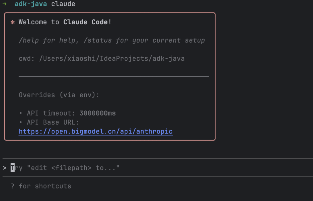 Claude Code