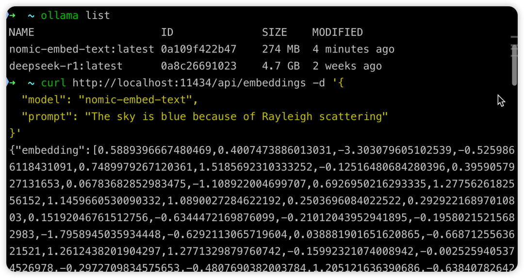 image-20250211205831626