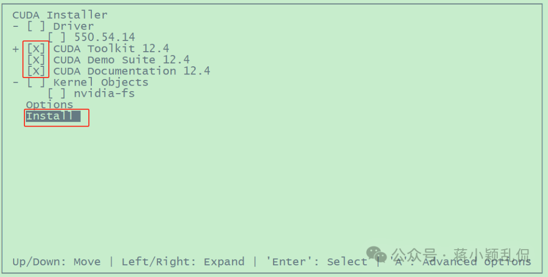 image-20250221173309528
