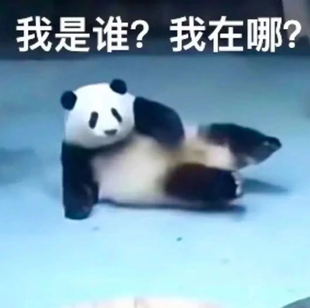 每开一个新会话