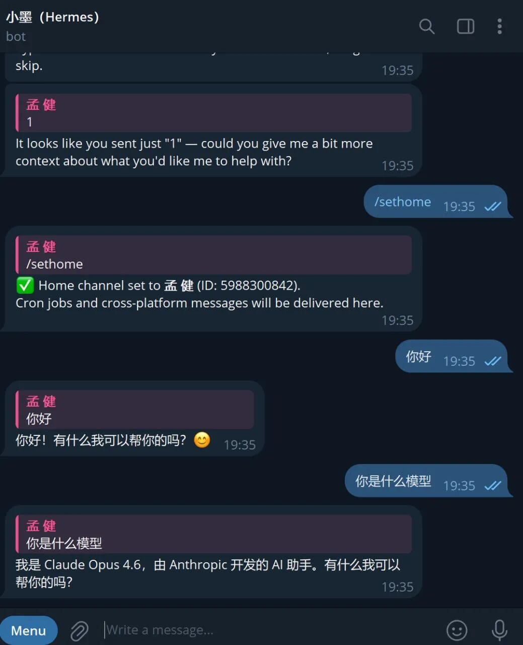 我在 Hermes 里运行任务的真实界面：小墨在调工具、沉淀 skill